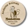 Manhattan Medallion Hunt Practice Motivation Program Game Sample Medallion Token