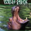 A Walk on the Wild Side Practice Incentive Program Assignment Book Cover